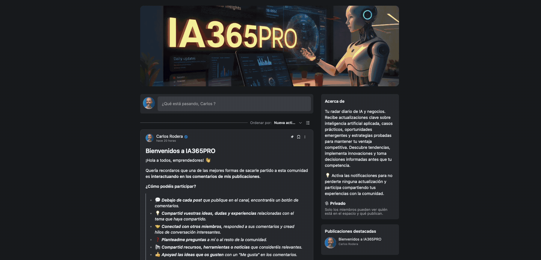 Safari Bug